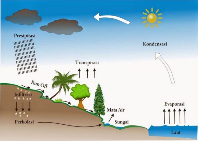 Penjelasan Lengkap Siklus Hidrologi Pengertian Proses Dan Jenisnya