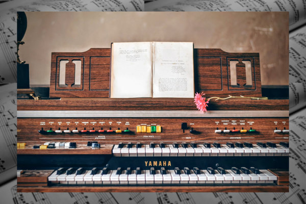 alat musik organ