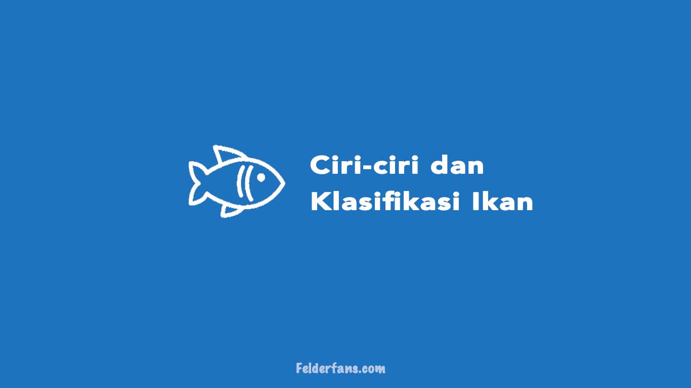 ciri-ciri dan klasifikasi ikan