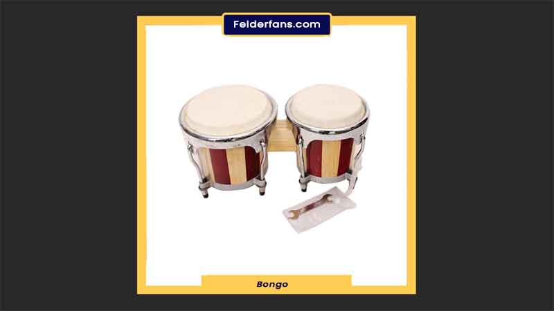 alat musik Bongo
