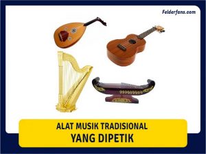 alat musik tradisional yang dipetik