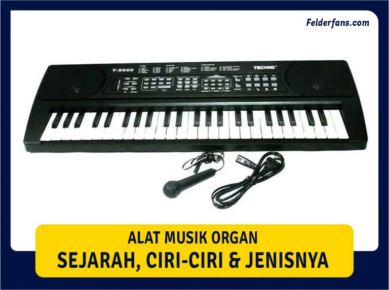 alat musik organ
