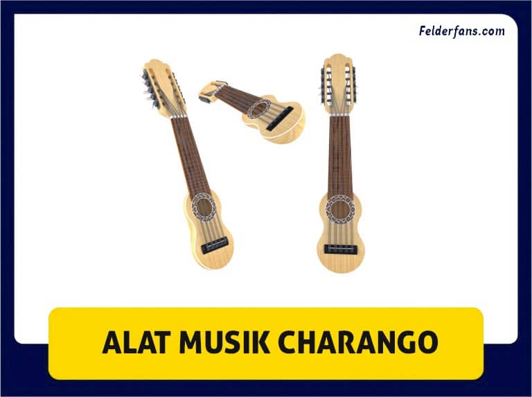 alat musik charango