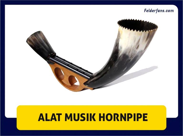 alat musik hornpipe
