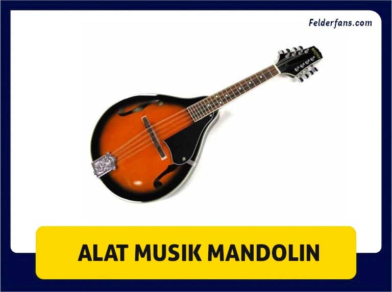 alat musik mandolin