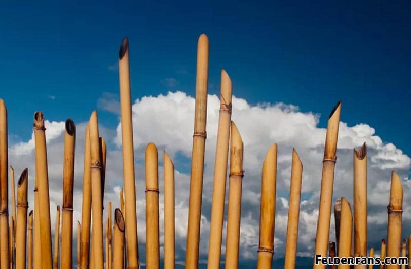 senjata tradisional bambu runcing
